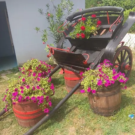 Kır Evi Etno Park Avlija Glusci