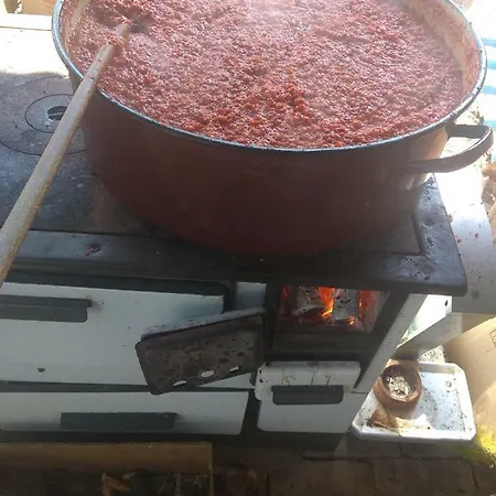 Hotel Etno Park Avlija Glusci Bogatić