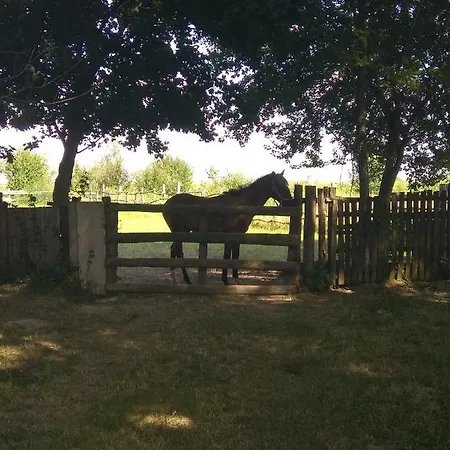 Etno Park Avlija Glusci Hotel Bogatić