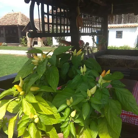 Etno Park Avlija Glusci Hotel Bogatić