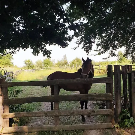 Etno Park Avlija Glusci Hotel