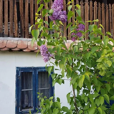 Etno Park Avlija Glusci *