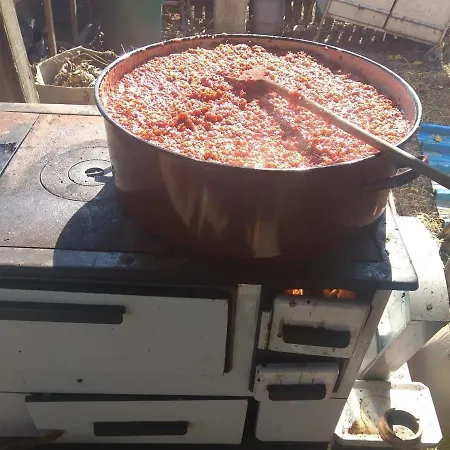 Hotel Etno Park Avlija Glusci Bogatić