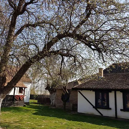 Etno Park Avlija Glusci *