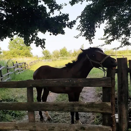 Hotel Etno Park Avlija Glusci Bogatić