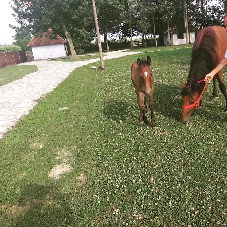 Etno Park Avlija Glusci Bogatić