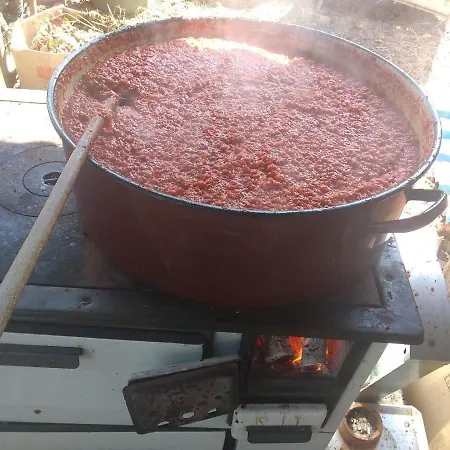 Etno Park Avlija Glusci *