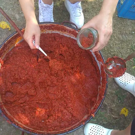 Etno Park Avlija Glusci Hotel Bogatić